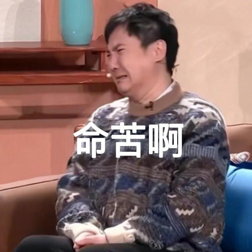 春晚第一波笑点来了：沈腾自比元宇宙“狗王”，林永健撞脸年画虎