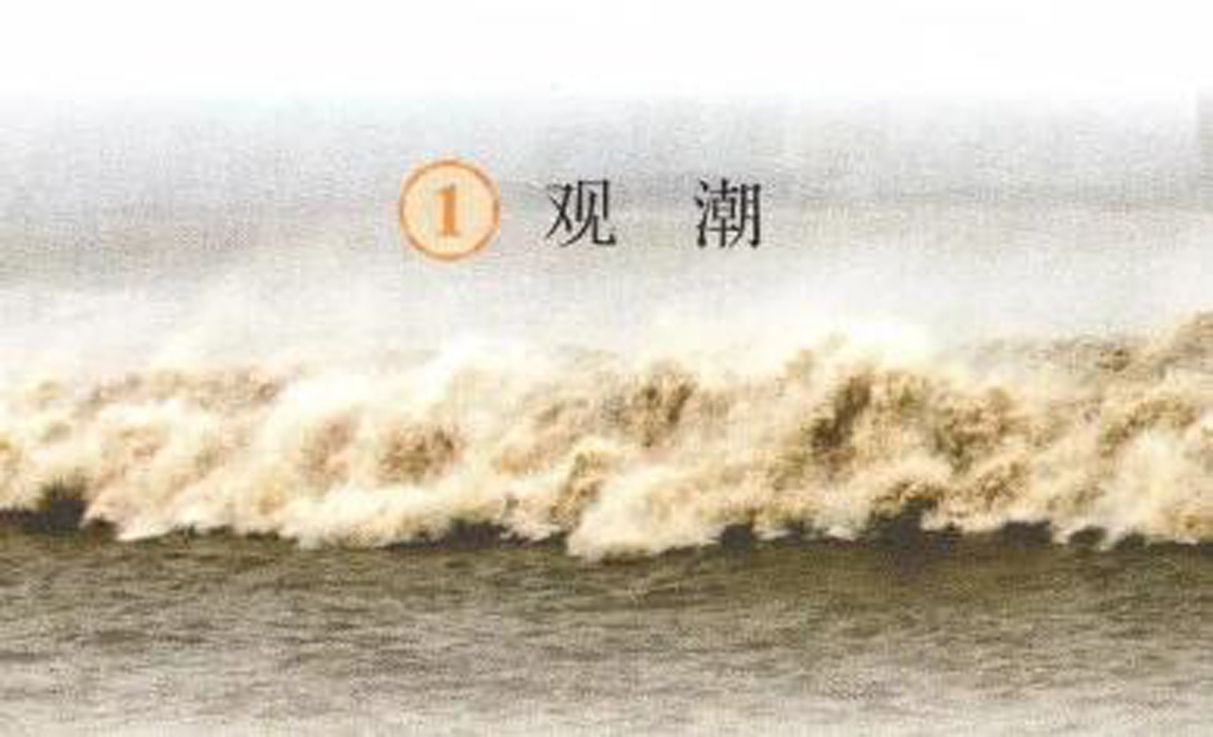 人声鼎沸的鼎的意思是什么(人声鼎沸的意思翻译)
