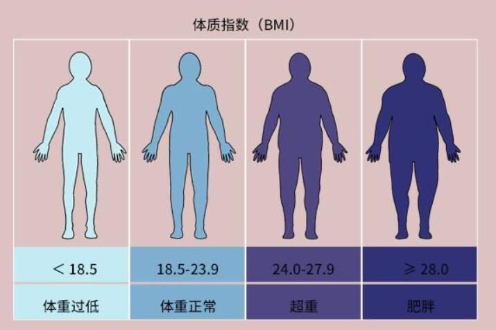 体脂率多少正常范围（体脂率的计算公式）