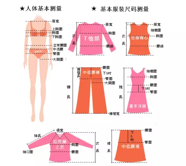 2尺4的腰围是多少厘米穿多少码(女人2尺4的腰算不算胖)