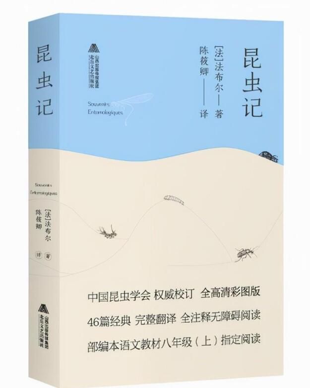 昆虫记每章节主要内容概括(八年级昆虫记目录列表)