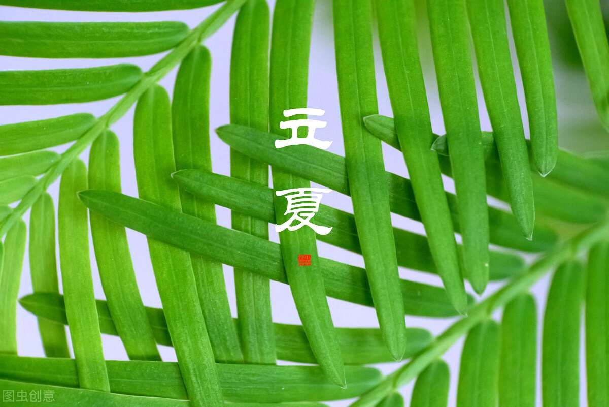 立夏吃什么食物比较好(立夏吃5种传统食物)