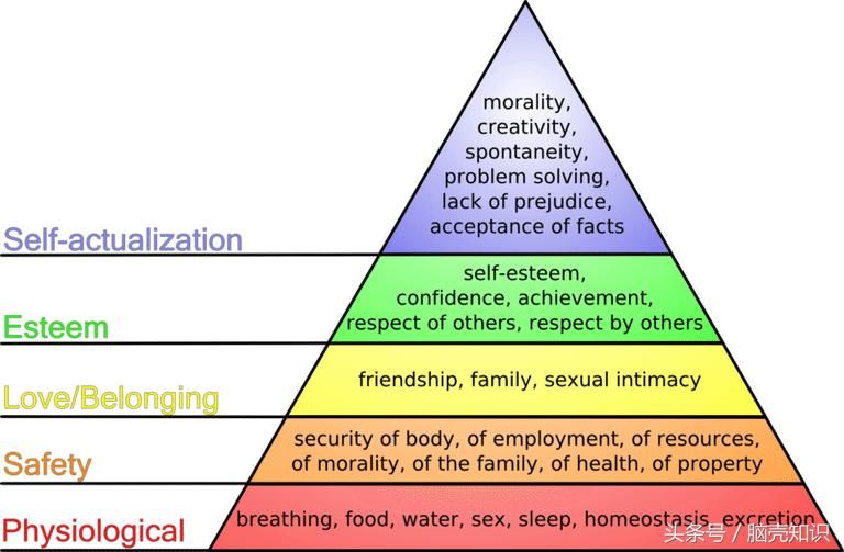 马斯洛需求层次理论的内容是什么（5个层次的需求理论）