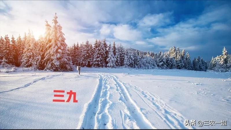 冷在三九，今年三九是哪天？三九冷不冷？看农村谚语俗语怎么说