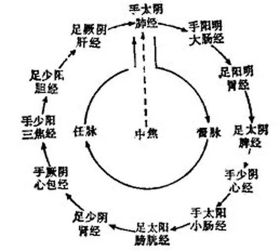 任督脉与营气的运行方向如何?