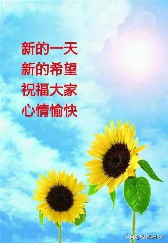 早安问候语正能量（新早安短信问候语大全新版）