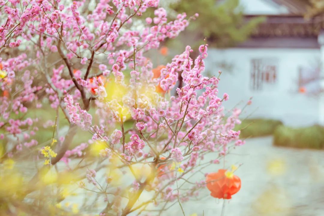 适合春天发朋友圈的诗句，浪漫又唯美