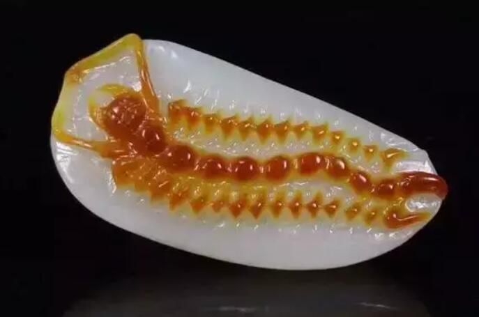 蜈蚣有什么吉祥寓意(千足虫的寓意与象征)