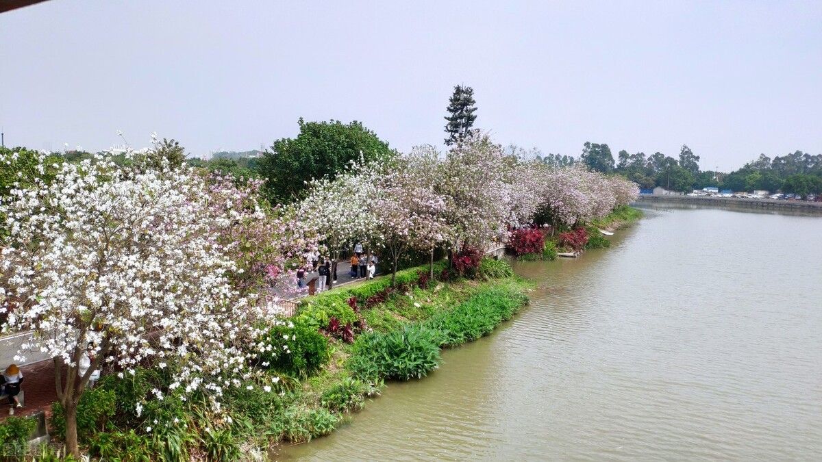 广州有什么好玩的地方景点推荐（推荐10个网红打卡圣地）