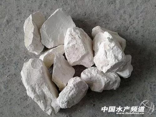 生石灰的化学式是什么(生石灰与水反应的化学方程式)