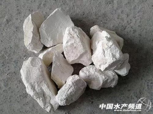 生石灰的化学式是什么（生石灰与水反应的化学方程式）