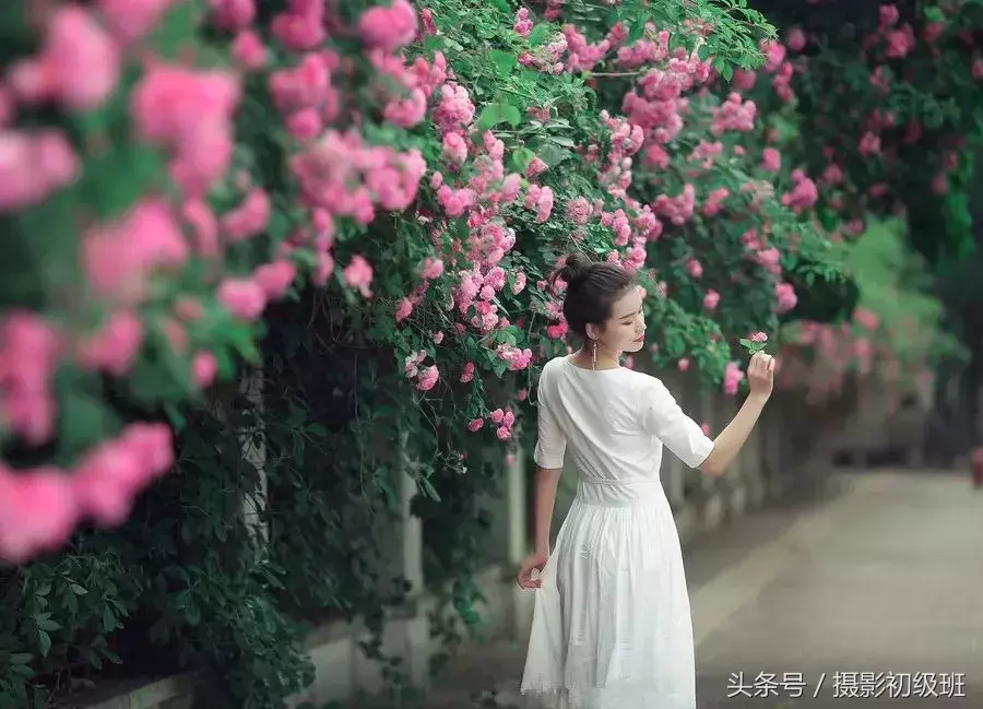 不同环境下感光度设定，以后不再担心感光度该调整为多少了