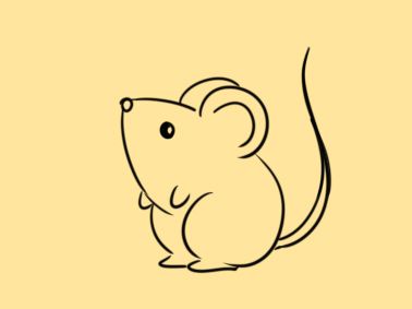 老鼠简笔画怎么画（可爱的小老鼠简笔画画法步骤）