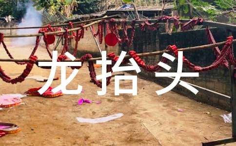 龙抬头是什么意思(抬龙头的风俗由来和剪头发的寓意)