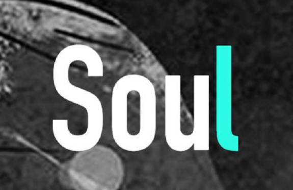 soul是什么意思(soul的意思解释)