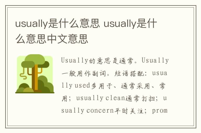 usually是什么意思（usually中文翻译及发音）