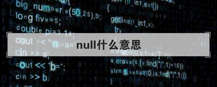 null什么意思