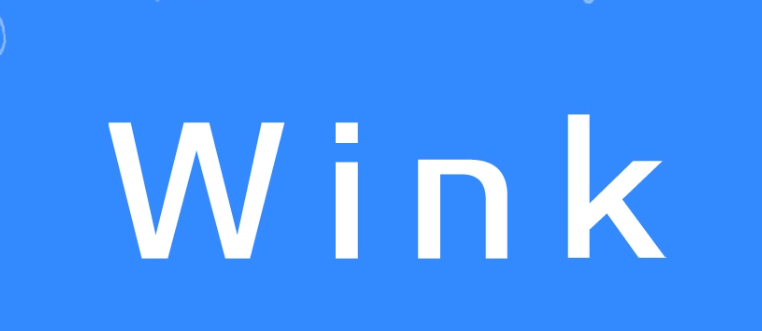 wink是什么意思(wink是指什么梗)