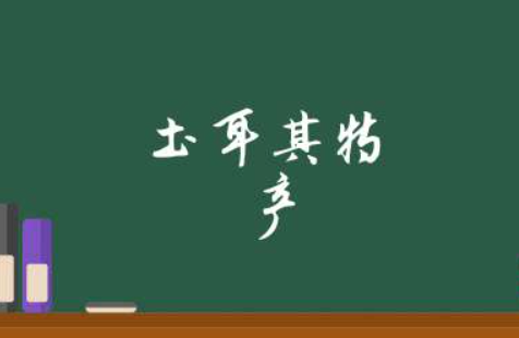 土耳其首都美食(伊斯坦布尔美食攻略)