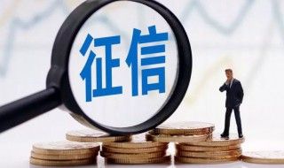 征信中心个人信用查询(征信报告个人查询网站)