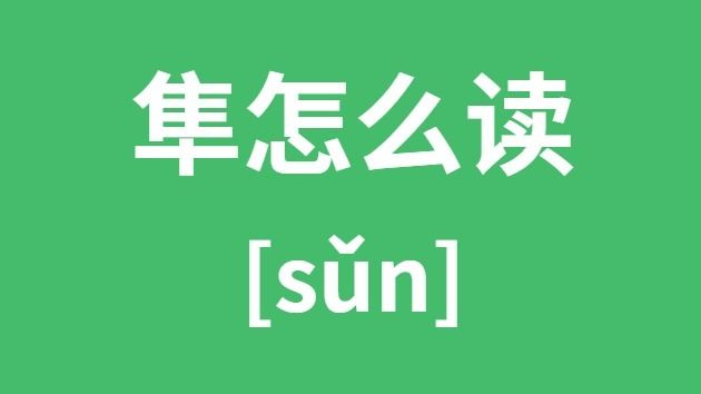 隼怎么读什么意思(隼字的拼音及意思解释)