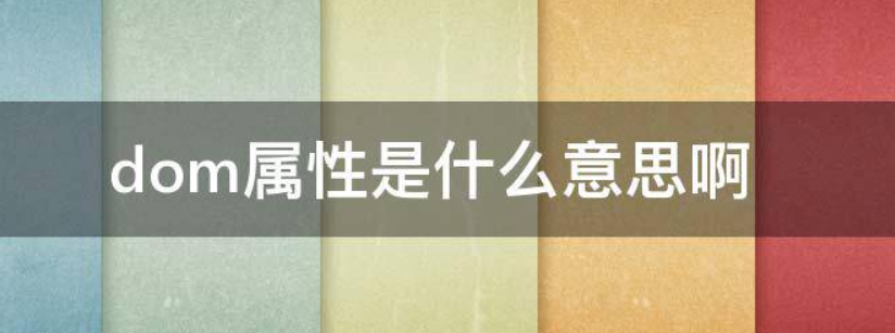 dom是什么意思(dom的意思解释)