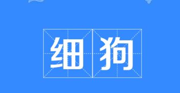 网络语细狗什么意思(细狗是什么梗)