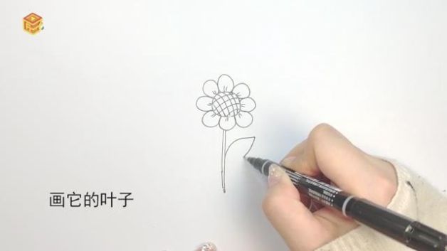 向日葵简笔画怎么画