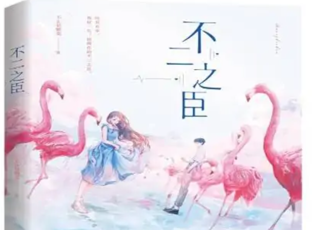 不二之臣是什么意思(不二之臣小说简介)