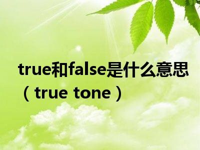电脑上TRUE是什么意思(揭秘计算机中的逻辑值)