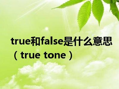 电脑上TRUE是什么意思（揭秘计算机中的逻辑值）