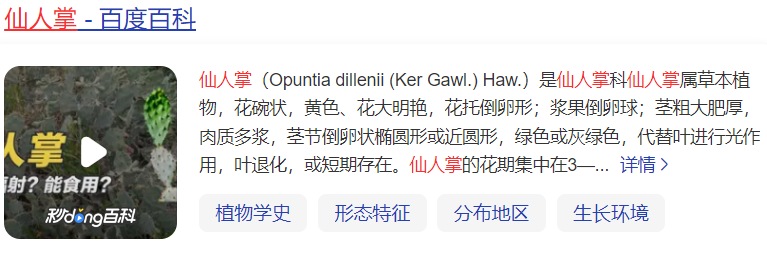 仙人掌的英语怎么读(仙人掌的寓意和象征)