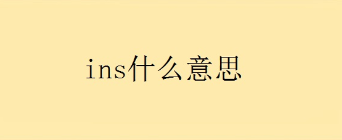 ins是什么(ins软件全称是Instagram)