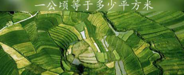 一公顷等于多少平方米(公顷和平方千米之间的换算)