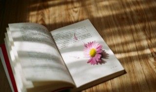 颠鸾倒凤是什么意思(颠鸾倒凤意思解释及近义词)