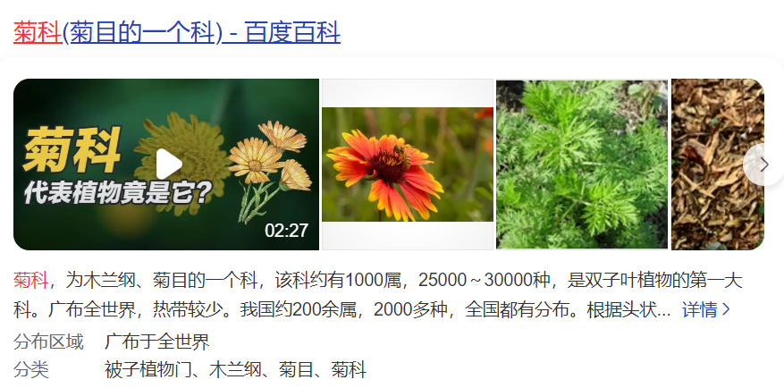 菊科植物有哪些(菊科植物的主要特征)