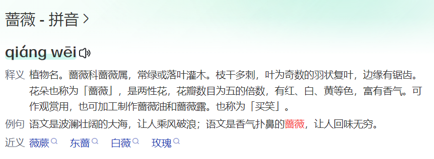 蔷薇的拼音怎么写的(蔷薇的释义是什么)