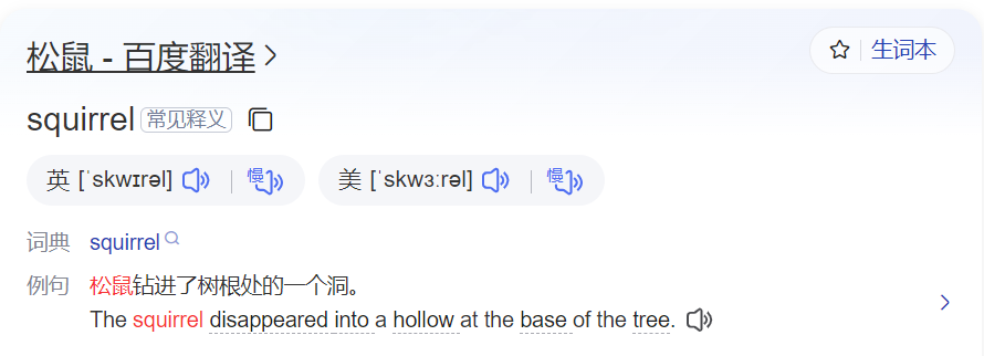 松鼠用英语怎么说(松鼠的英语怎么拼)