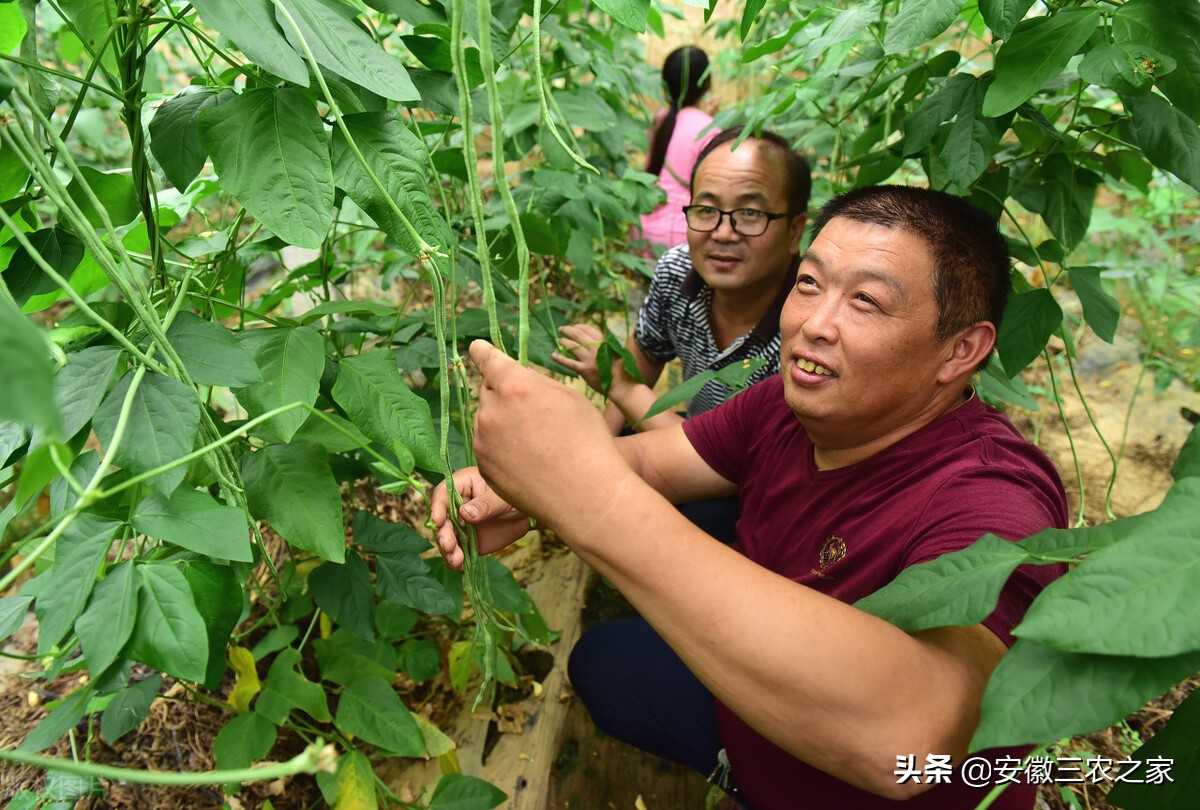 创业经验分享（没钱还想返乡创业经验分享给大家）