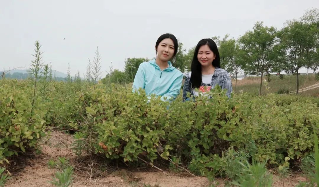 励志女性创业故事(97年的她二度创业电商运营,年入120万)