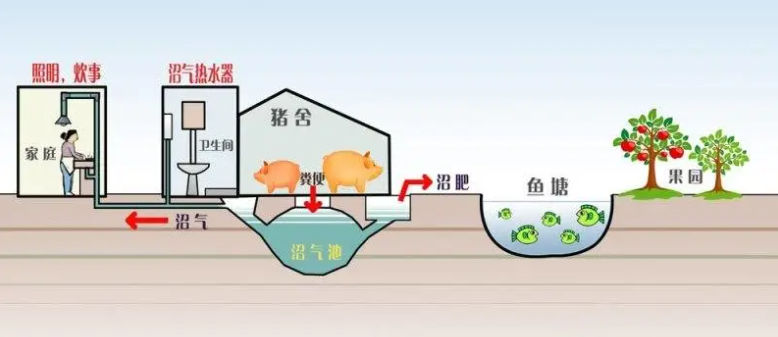 新型创业项目（新型创业项目介绍农村你不知道的项目）