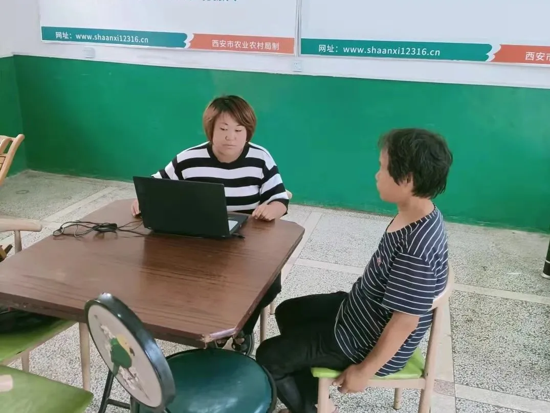 返乡创业（可靠的农村创业项目返乡种花卉）