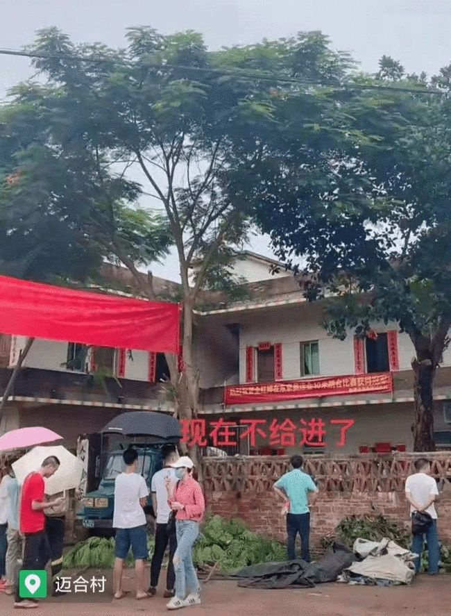 网红在全红婵家外直播（全红婵老家被直播闹翻）