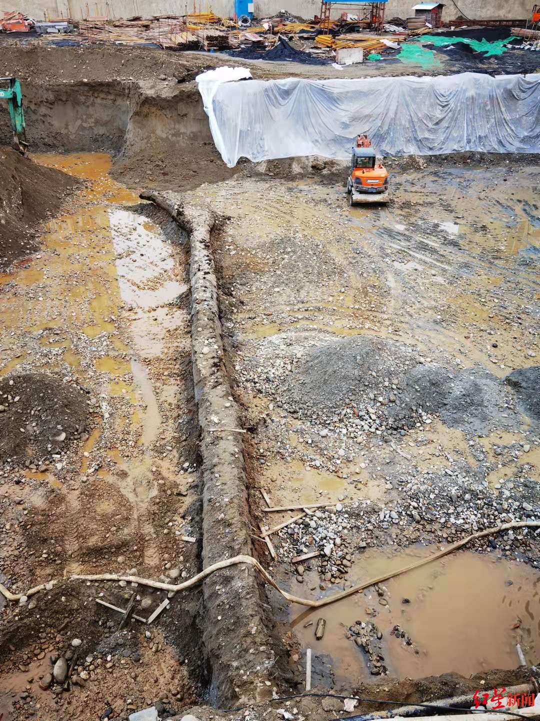 四川绵阳一建筑工地惊现超3000年罕见乌木(长近40米直径1.5米)