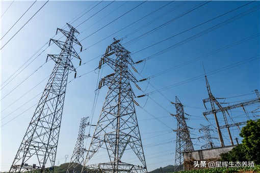 2021东北限电原因曝光(更严峻的考验,应该在后面)